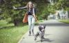 5 redenen waarom honden trekken aan de lijn