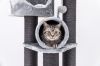 Oppassen op katten; alles wat je wil weten