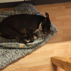 Derek van de Meerendonk