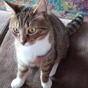 Marijke