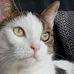 Esther