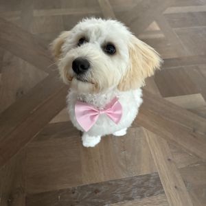 Marcel