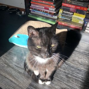Niki