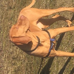 Berro en ina Oldengarm