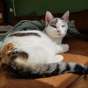 Mieke