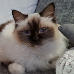 Patricia