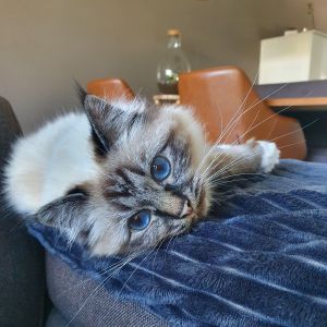 Esther