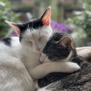 Marc & Elisa