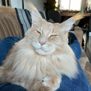 Céline