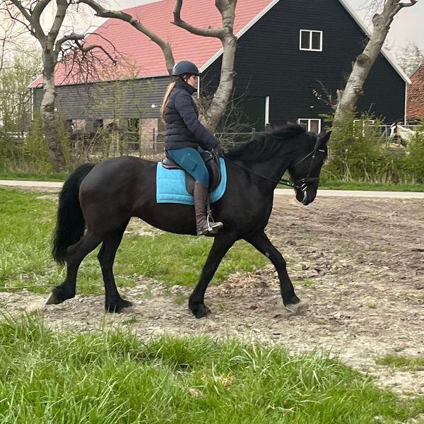 Huisdierenoppas Marit uit Arnhem