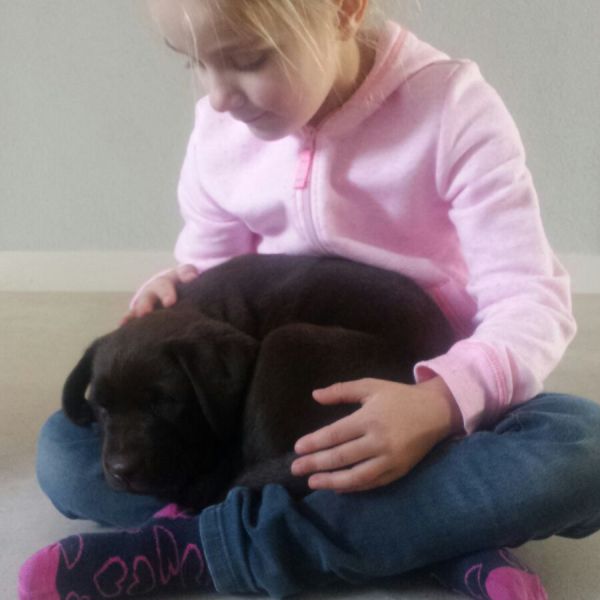 Huisdierenoppas Janna uit Apeldoorn