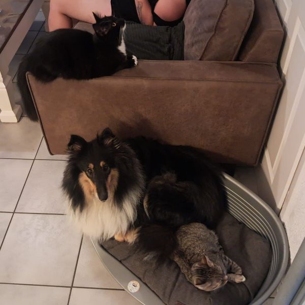 Maisy uit Eersel zoekt een Hondenoppas