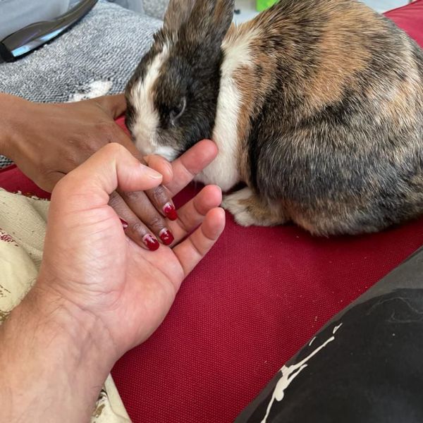 Huisdierenoppas Asha van winsen uit Hengelo, Overijssel