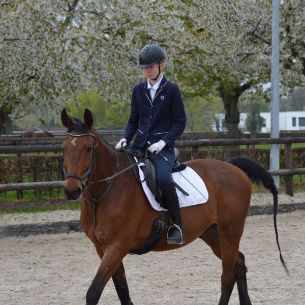Huisdierenoppas Flora uit Heerlen