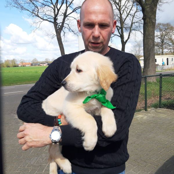 Huisdierenoppas Mark Masereeuw uit Etten-Leur