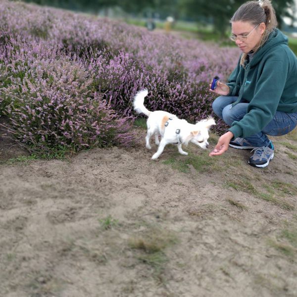 Hondenoppas Je uit Woudenberg