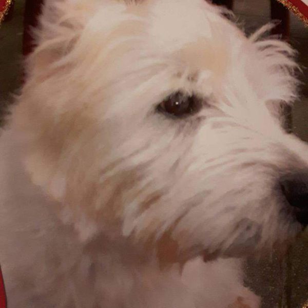 Huisdierenoppas Conny uit Bergen Op Zoom