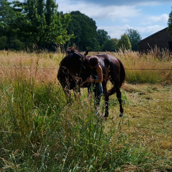 Huisdierenoppas Sarah uit Eefde