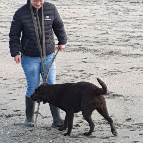 Huisdierenoppas Angelina uit Terneuzen
