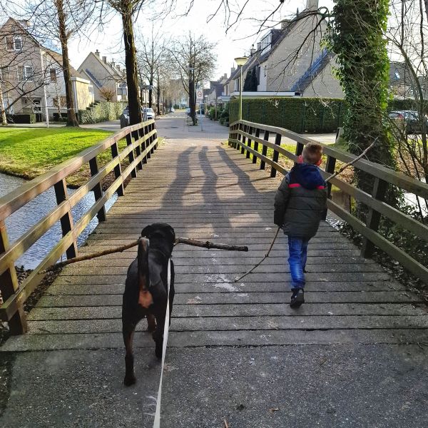 Huisdierenoppas Patricia uit Alphen Aan Den Rijn