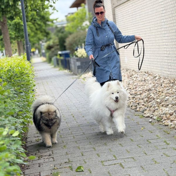 Huisdierenoppas Vreni uit Almere