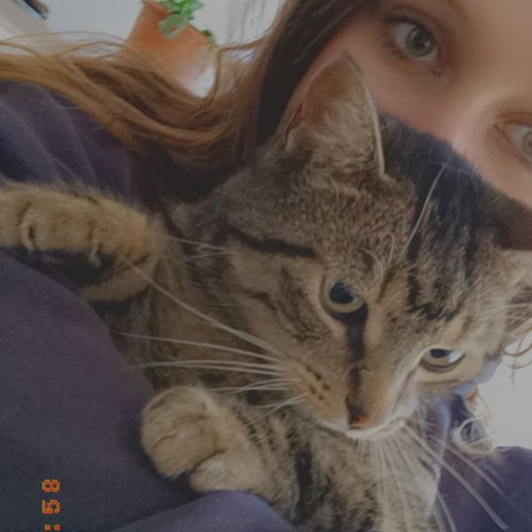 Huisdierenoppas Daisy uit Tilburg