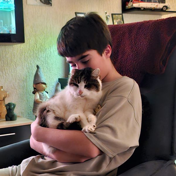 Kattenoppas Rowan uit Bergen Op Zoom