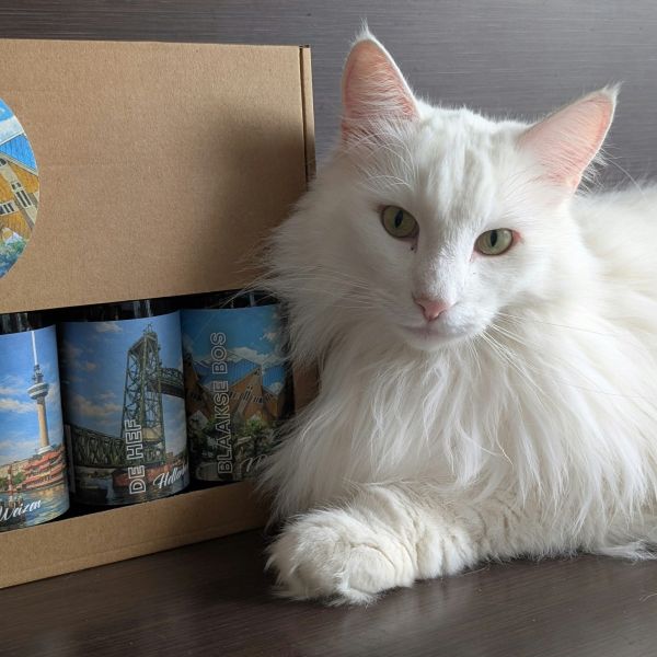 James\', Rose, Jasmijn uit Barendrecht zoekt een Kattenoppas