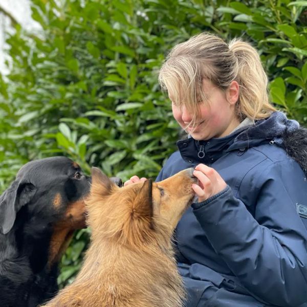 Huisdierenoppas Senna uit Venlo