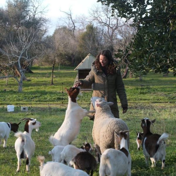 Huisdierenoppas Laura uit Zutphen