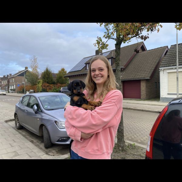 Huisdierenoppas Nina uit Houten