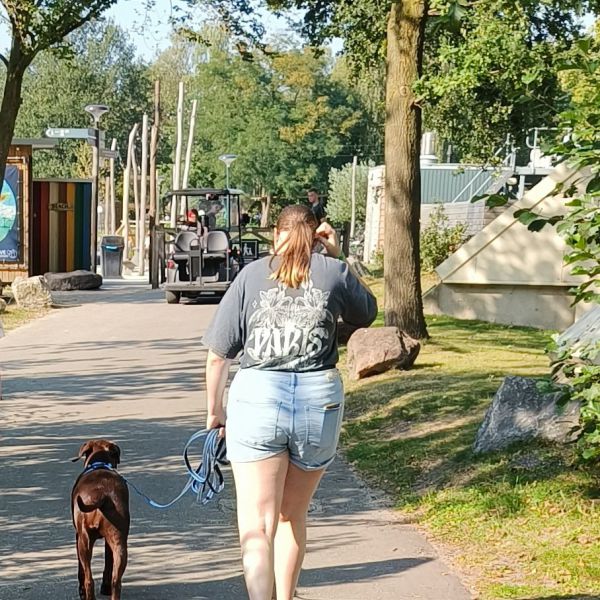 Huisdierenoppas Amber uit Meppel