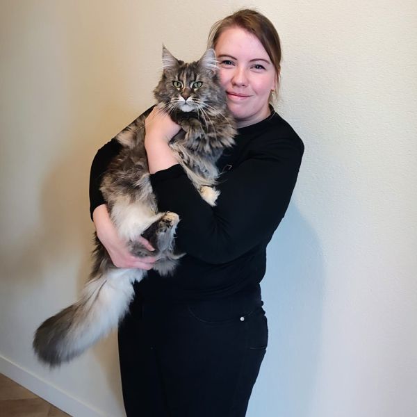 Huisdierenoppas Kattenoppas uit Oss