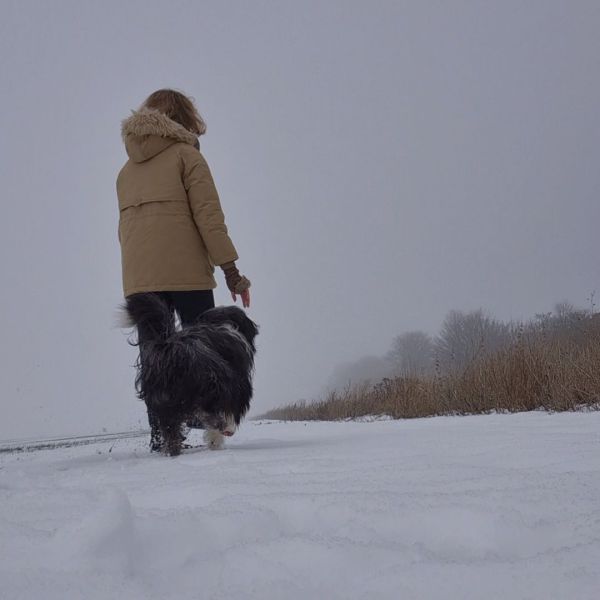 Hondenoppas Julia uit 'S-Heer Abtskerke