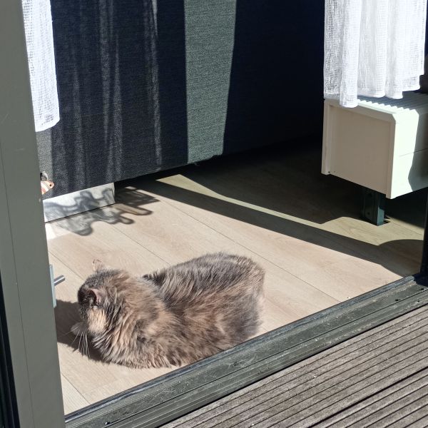 Huisdierenoppas Elize uit Eemnes