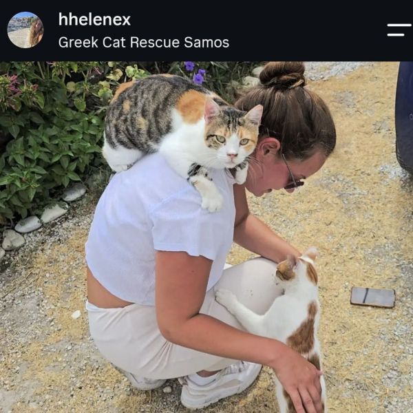 Huisdierenoppas Helene uit Tilburg