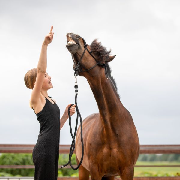 Huisdierenoppas davinia uit Wilnis