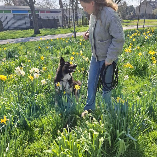 Huisdierenoppas Myrthe uit Rotterdam