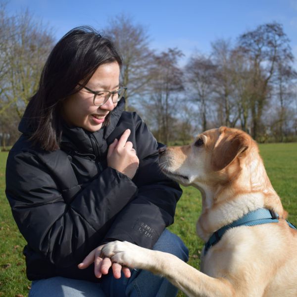 Huisdierenoppas Sunny uit Hoogwoud