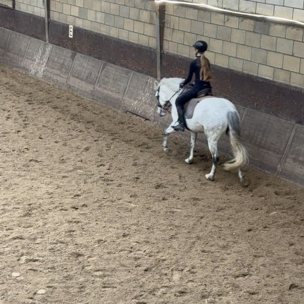 Huisdierenoppas Darja uit 'S-Gravenhage