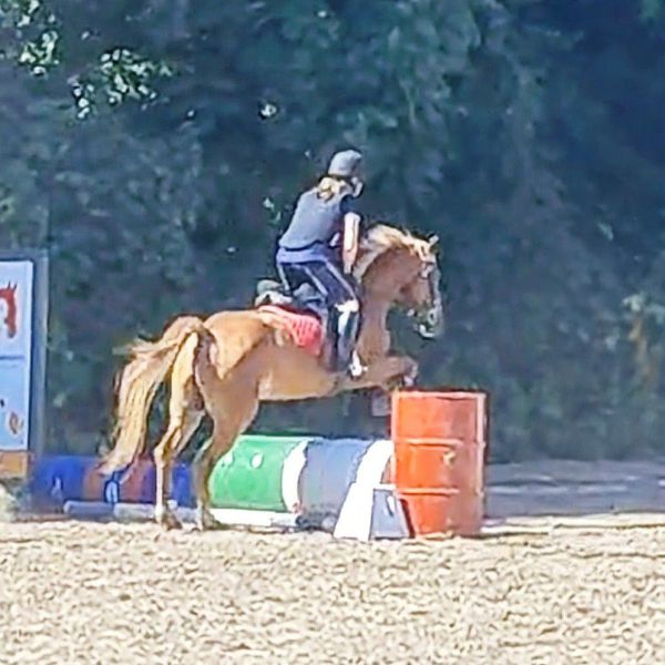 Huisdierenoppas Claudia uit Geleen