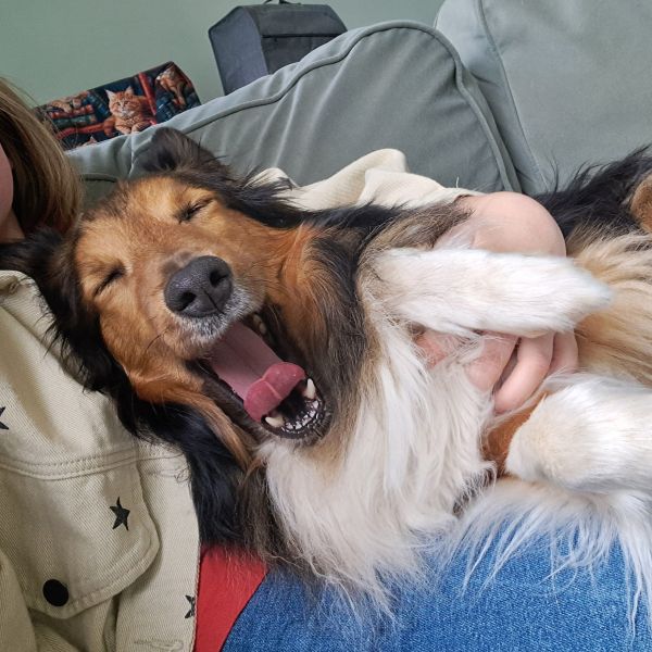 Huisdierenoppas Anisa uit Nunspeet