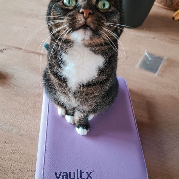 Mittens, Jingles, Tony uit Leuth zoekt een Kattenoppas