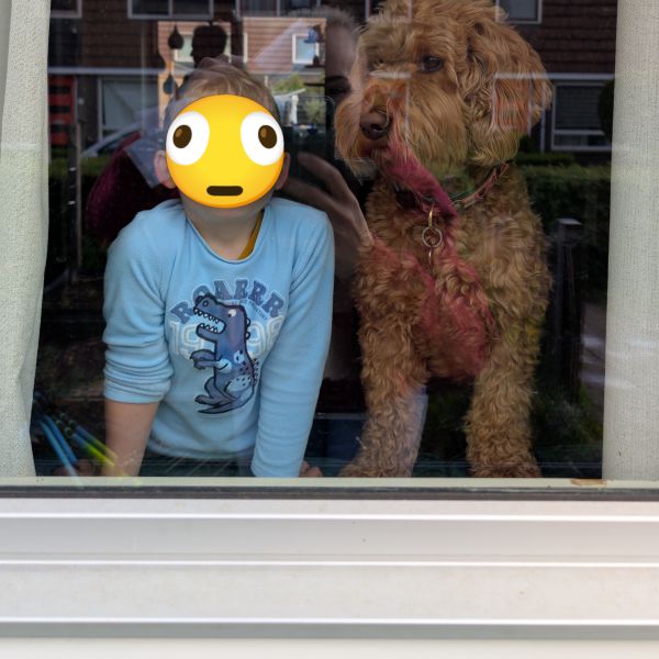 Huisdierenoppas Chanouk uit Meppel