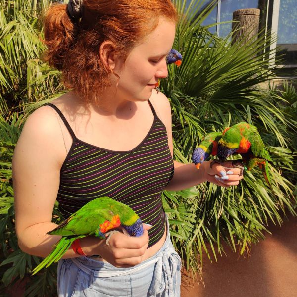 Huisdierenoppas Nike uit Vaassen