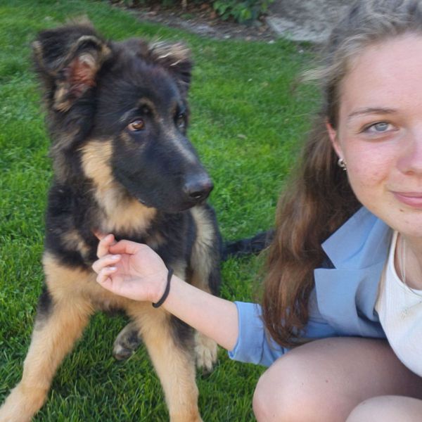 Hondenoppas Mariska uit Burgum