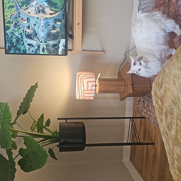 Fiep uit Nijmegen zoekt een Kattenoppas