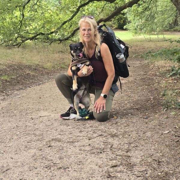 Boef uit Wintelre zoekt een Hondenoppas