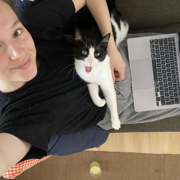 Zaza uit Maastricht zoekt een Kattenoppas