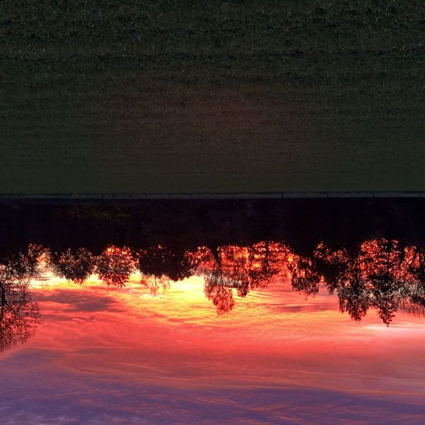 Fire, Gosse en Whiz, Ziggy uit Stegeren zoekt een huisdierenoppas